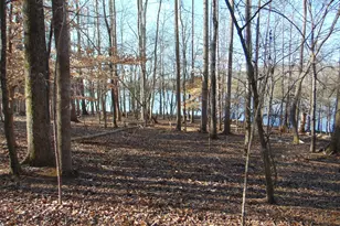 0 Bason Rd, Mebane, NC 27302 - Photo 34