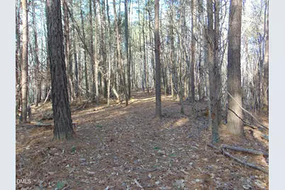 0 Bason Road, Mebane, NC 27302 - Photo 24