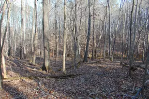 0 Bason Rd, Mebane, NC 27302 - Photo 26