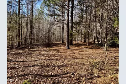 11901 Nc Highway 86 S, Prospect Hill, NC 27314 - Photo 8