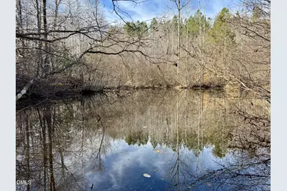 12101 Nc Highway 86 S, Prospect Hill, NC 27314 - Photo 6