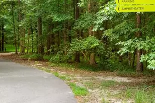 555 Purple Aster St, Youngsville, NC 27596 - Photo 4