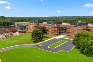 545 Purple Aster St, Youngsville, NC 27596 - Photo 4