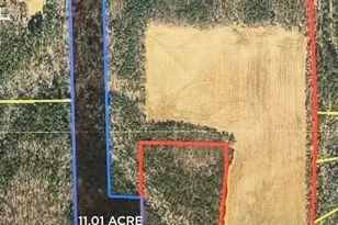 2822 Little River Church Rd, Hurdle Mills, NC 27541 - Photo 2