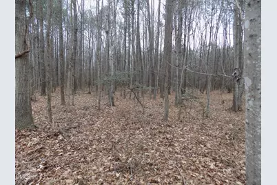 7375 Simmons Road, Castalia, NC 27816 - Photo 12