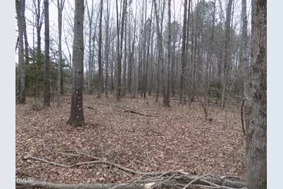 7375 Simmons Road, Castalia, NC 27816 - Photo 16