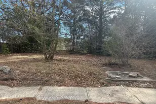 207 S Magnolia Ave, Dunn, NC 28334 - Photo 1