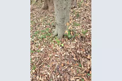 0 Johnson Street, Chapel Hill, NC 27516 - Photo 6