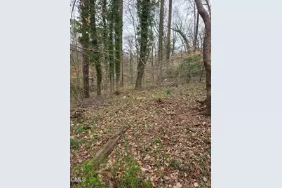 0 Johnson Street, Chapel Hill, NC 27516 - Photo 14