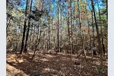 0 McDougald Road, Broadway, NC 27505 - Photo 20