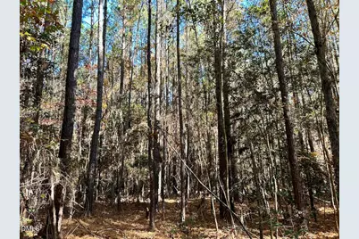 0 McDougald Road, Broadway, NC 27505 - Photo 18