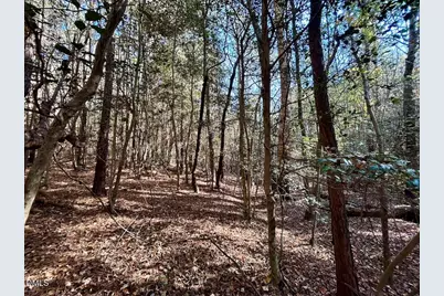 0 McDougald Road, Broadway, NC 27505 - Photo 22