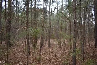257 Piney Grove Church Road, Siler City, NC 27344 - Photo 8
