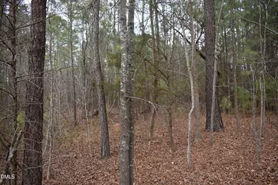 257 Piney Grove Church Road, Siler City, NC 27344 - Photo 12