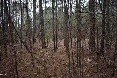257 Piney Grove Church Road, Siler City, NC 27344 - Photo 4