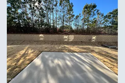 1244 Pavo Path, Wendell, NC 27591 - Photo 4