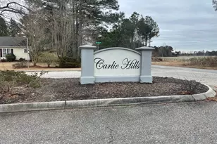 70 Wilson, Bunnlevel, NC 28323 - Photo 1