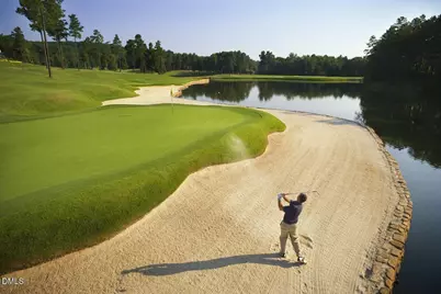 84401 Winslow, Chapel Hill, NC 27517 - Photo 58