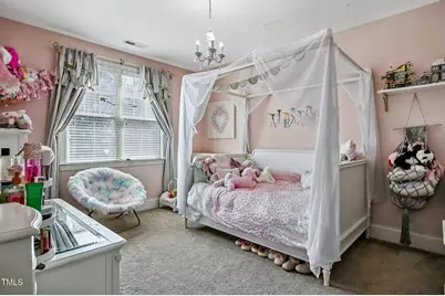 39 Wood Stork Court, Clayton, NC 27520 - Photo 22