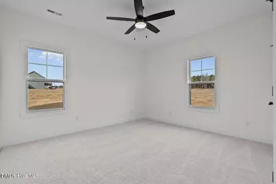 Tbd Doubs Chapel Road, West End, NC 27376 - Photo 26