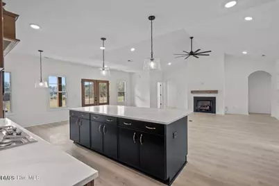 Tbd Doubs Chapel Road, West End, NC 27376 - Photo 18