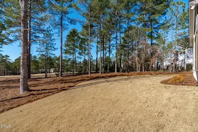 1248 Golfers View, Pittsboro, NC 27312 - Photo 50