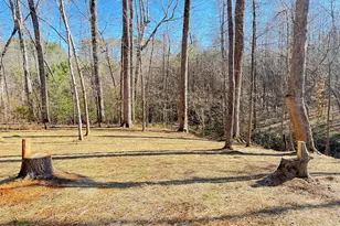 130 Parkway Dr, Littleton, NC 27850 - Photo 46