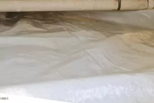 917 Gold St N, Wilson, NC 27893 - Photo 38