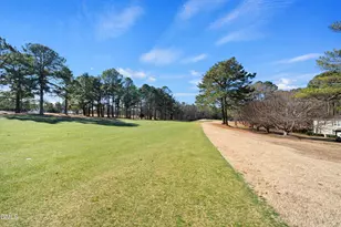 5833 Mockingbird Ln, Sanford, NC 27332 - Photo 34