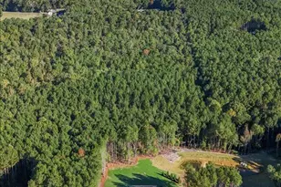 37 Green Turtle Ln, Pittsboro, NC 27312 - Photo 8