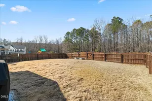 404 Atwood Dr, Holly Springs, NC 27540 - Photo 46