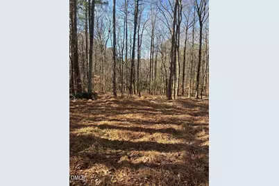 204 Fairhaven Street, Apex, NC 27539 - Photo 2