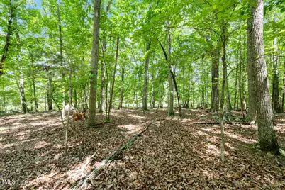 2853 Franklin Road, Hillsborough, NC 27278 - Photo 4