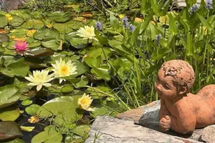 1457 Altamahaw Union Ridge Rd, Burlington, NC 27217 - Photo 60