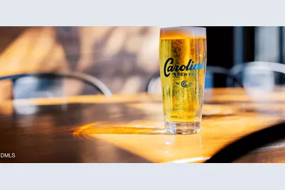 1147 Booth Park Boulevard, Chapel Hill, NC 27514 - Photo 34