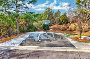 101 Foxdale Grant Ct, Cary, NC 27519 - Photo 48