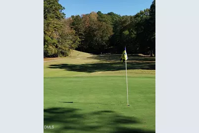 110 Pontiac Cove, Louisburg, NC 27549 - Photo 66