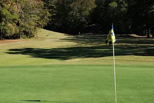 110 Pontiac Cove, Louisburg, NC 27549 - Photo 66