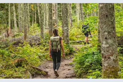 74 Floating Bridge Trail, Lillington, NC 27546 - Photo 10