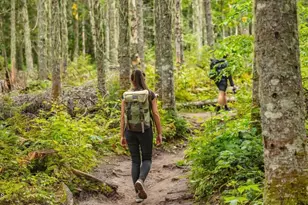 74 Floating Brg Trl, Lillington, NC 27546 - Photo 10