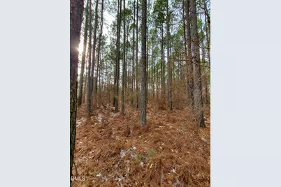 36 Rosefield Court, Pittsboro, NC 27312 - Photo 14