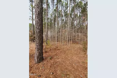 36 Rosefield Court, Pittsboro, NC 27312 - Photo 6