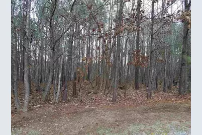 2908 Satori Way, Apex, NC 27539 - Photo 1