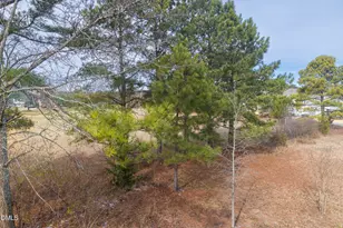 54 Wildflower Cir, Clayton, NC 27520 - Photo 30