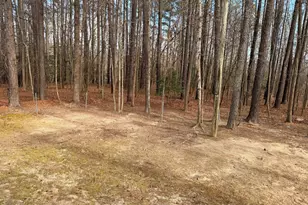 1013 Spawn Pl, Knightdale, NC 27545 - Photo 8