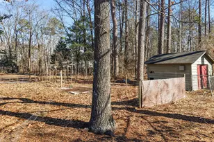 3738 Red Oak Battleboro Rd, Battleboro, NC 27809 - Photo 46