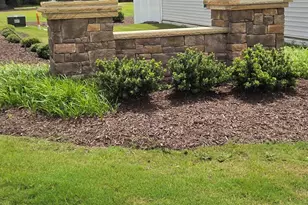 80 Nailsworth St, Angier, NC 27501 - Photo 38