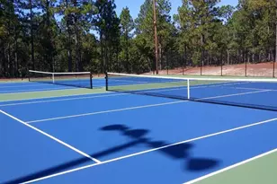 2975 Carolina Way, Sanford, NC 27332 - Photo 6