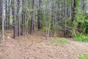 457 Albemarle Dr, Clayton, NC 27527 - Photo 32