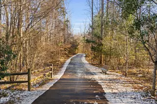 371 Bridgegate Dr, Cary, NC 27519 - Photo 64